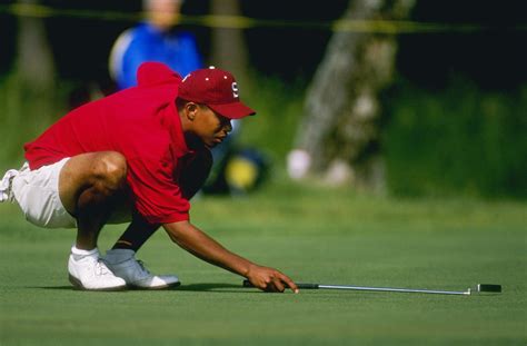 Tiger Woods Stanford Sophomore Tiger Woods
