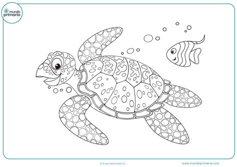 Dibujos De Tortugas Para Colorear Mundo Primaria