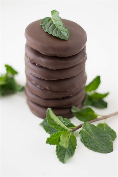 Crisp Chocolate Mint Cookies Thin Mints Recipe