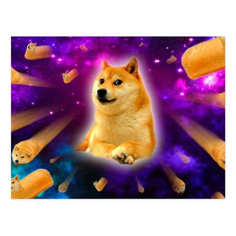 Bread Doge Shibe Space Wow Doge Postcard Doge Photo Dog Poster Doge