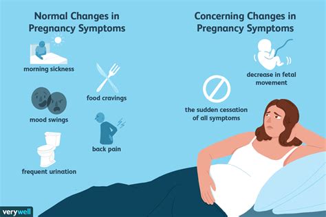 Can You Have Pregnancy Symptoms After Ovulation Pregnancywalls