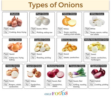 13 Different Types Of Onions With Pictures