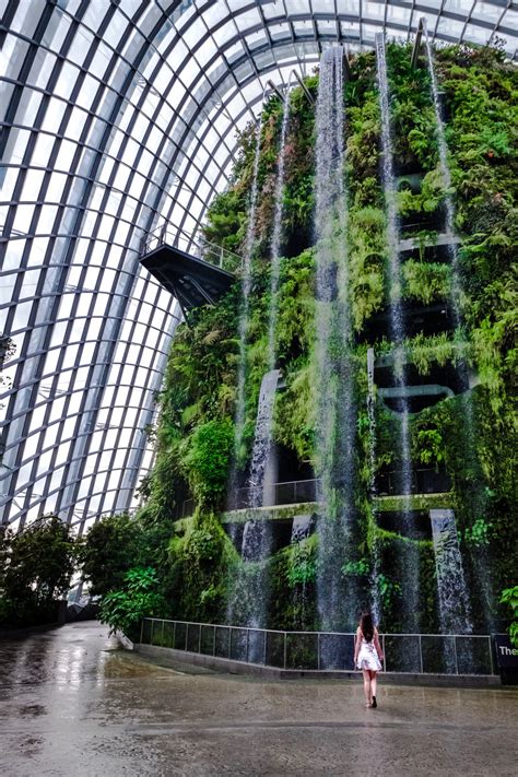Gardens By The Bay Photography Tips And Best Photos The Travelling Stomach