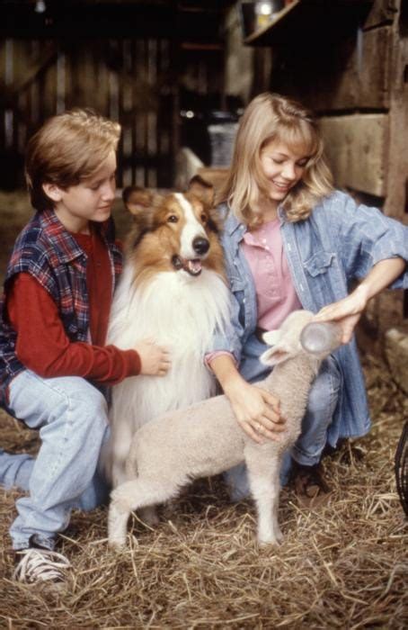 Picture Of Lassie 1994