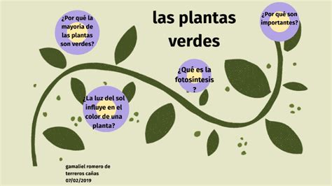 ¿por Que Las Plantas Son Verdes By Brayan Romero De Terreros Cañas On