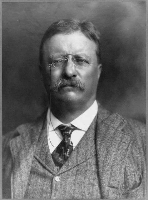 Serene Musings 10 Fun Facts About Theodore Roosevelt