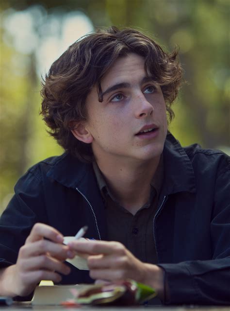 The Definitive Guide To Timothée Chalamets Rock Star Moment In Lady