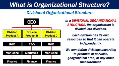 functional organizational structure meaning definition features hot sex picture