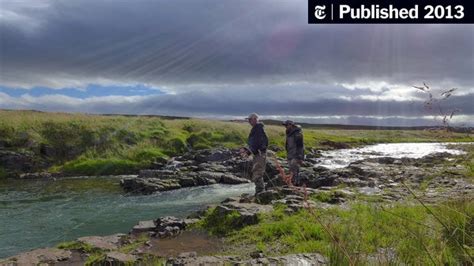 A Dream River In Iceland Rich With Salmon The New York Times