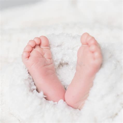 Newborn Baby Feet Covered In Plush Lining Blanket Stock Photo Image