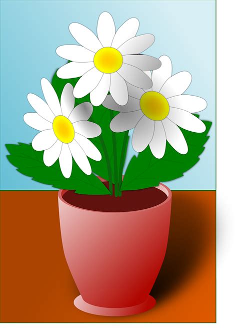 Gambar Pot Bunga Png Terbaru
