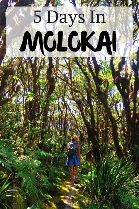 5 Days In Molokai In 2020 Hawaii Travel Hawaii Travel Guide Molokai