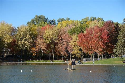 Beaver Lake Montreal Essential Tips And Information