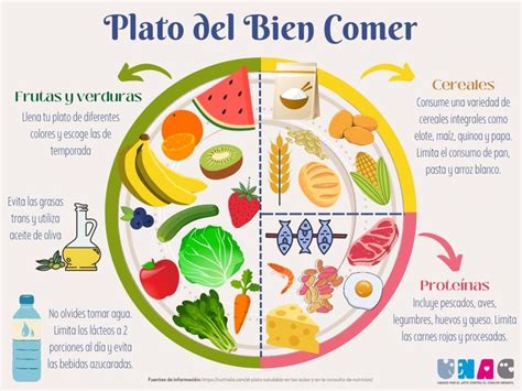 Plato Del Bien Comer En Plato Del Bien Comer Nutricion