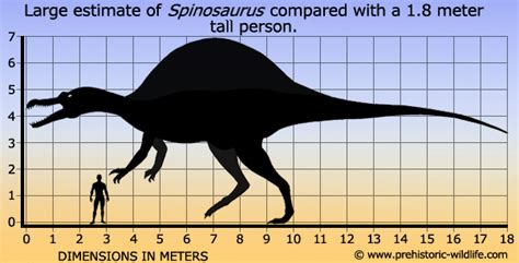 Imagen Spinosaurus Size Wiki Prehistórico Fandom Powered By Wikia