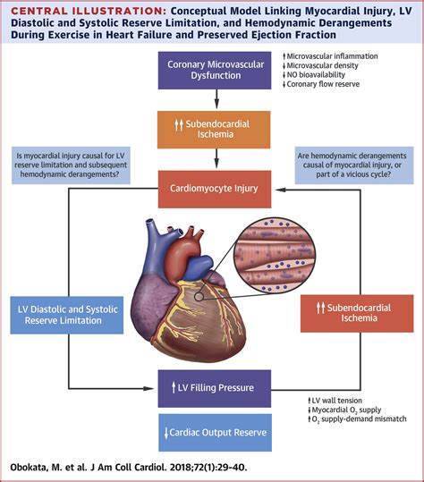 Myocardial Injury And Cardiac Reserve In Patients With Heart Failure