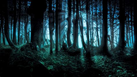 Mysterious Forest Wallpaper 1366x768 Download