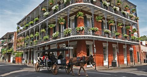 25 Best Things To Do In New Orleans