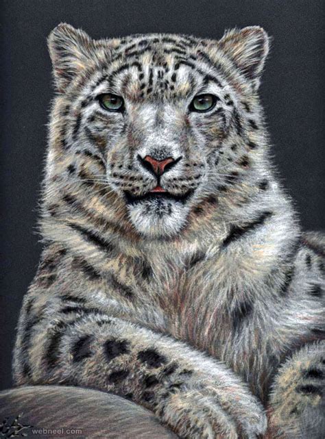 Welcome to my gallery of pencil drawings of animals. 26 Stunning drawings of animals Made From Pencil And Paper