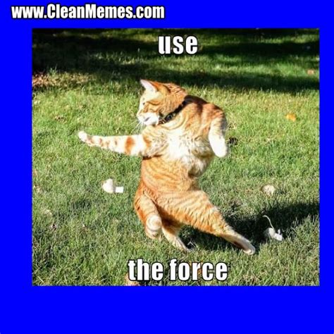 Check spelling or type a new query. Pin by Clean Memes on Clean Memes | Funny grumpy cat memes ...