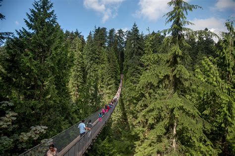 Vancouvers Capilano Suspension Bridge Park A Treetop Adventure — No