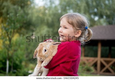 Happy Cute Girl Playing Rabbit Garden Stock Photo 1461504245 Shutterstock