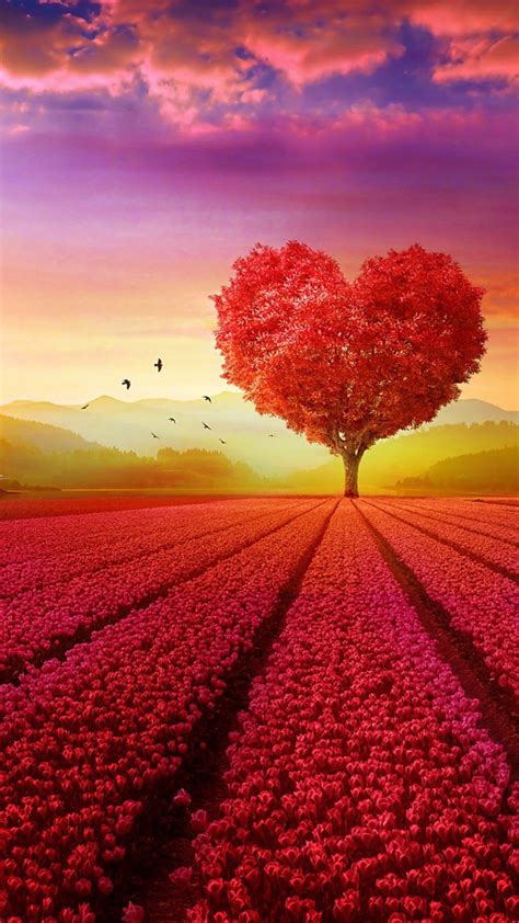 Love Heart Shape Tree Flowers Tree Wallpaper Iphone