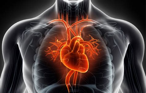 Pacemakers And Implantable Cardioverter Defibrillators Icds At Rs