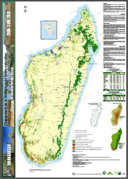 Déforestation Madagascar