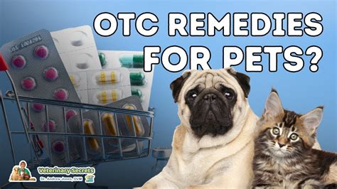7 Otc Human Medications Safe And Effective For Dogs Youtube