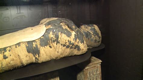 poland warsaw researchers reveal first known case of pregnant egyptian mummy video ruptly