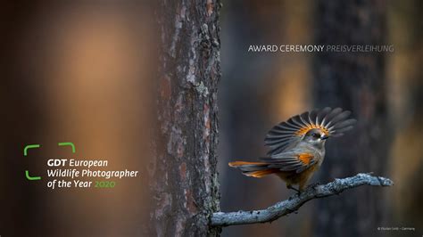 Award Ceremony European Wildlife Photographer Of The Year 2020