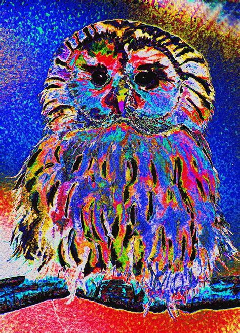 Rainbow Owl Digital Art By Louise Grant