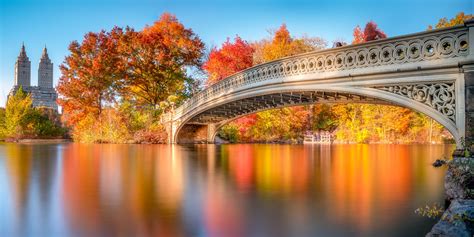 Fall Foliage In Nyc Is At Its Peak 5 Great Places To See It Streeteasy