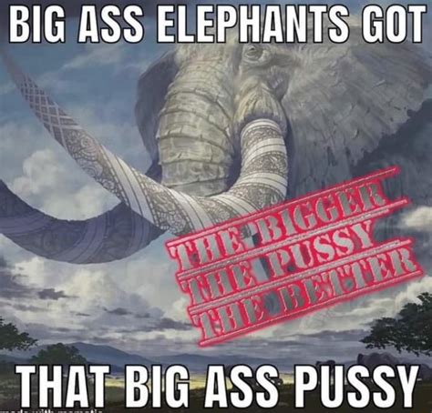 Big Ass Elephants Got That Big Ass Pussy Ifunny