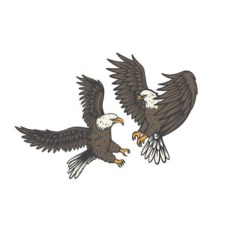 Premium Vector Bald Eagle Fighting At Sky Cartoon Vector Illustration