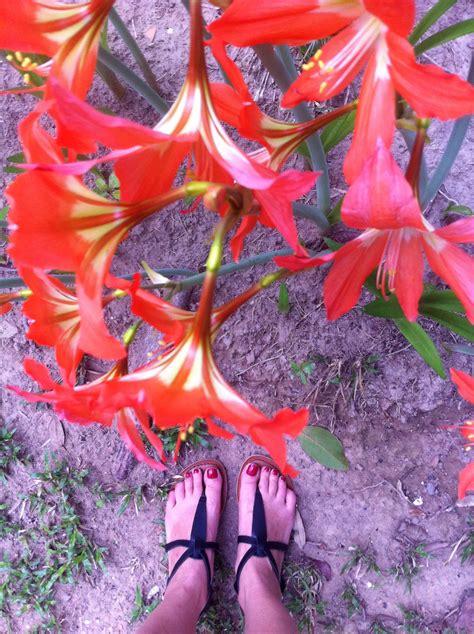 Happy Flower Feet