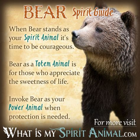 Bear Symbolism And Meaning Spirit Totem And Power Animal Spirit Guides
