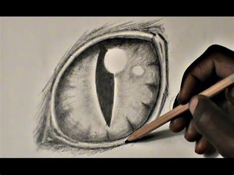 We will also practice making expressive eyes and other key features. Step-by-Step: Drawing a Cat Eye - YouTube
