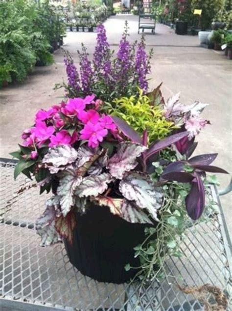 60 Stunning Container Garden Planting Design Ideas Container Plants