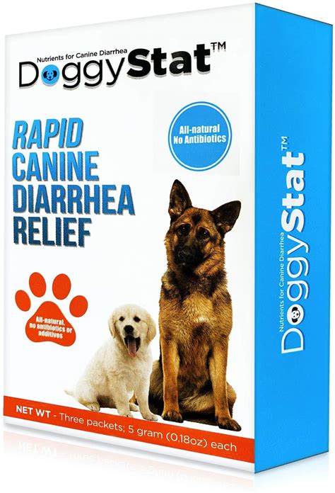 What To Give Dogs With Diarrhea Includes Printable List