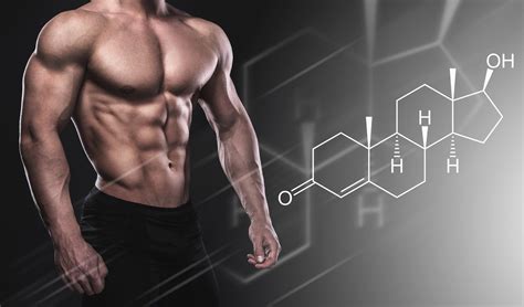 How To Increase Testosterone Levels In Men The Best Methods In 2019