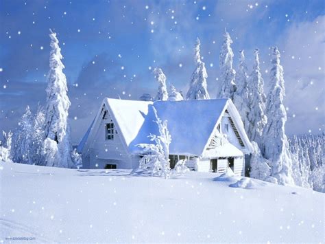 Falling Snow Screensaver Download Snowfall Night Snow