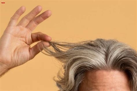Premature Gray Hair Causes And Prevention The Enterprise World