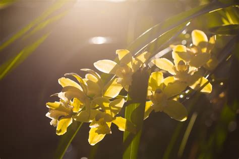 10 Ideas For Photographing Nature In Your Backyard