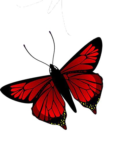 Red Butterfly Tumblr Wallpapers Wallpaper Cave