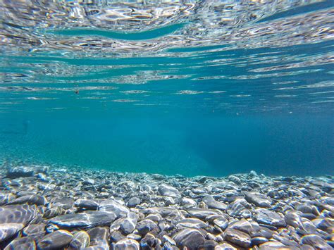 250 Unterwasser Fotos · Pexels · Kostenlose Stock Fotos