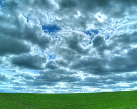 Lush Green Field Free Photo Download Freeimages