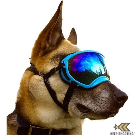 Rex Specs K9 Goggles Dog Goggles Snow Dogs Dogs