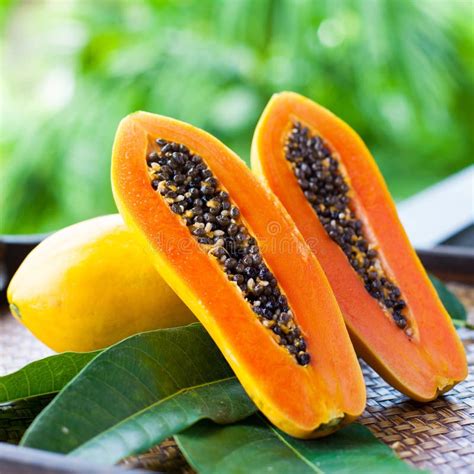 Fresh Papaya Stock Image Image Of Seed Leaf Green 38342343